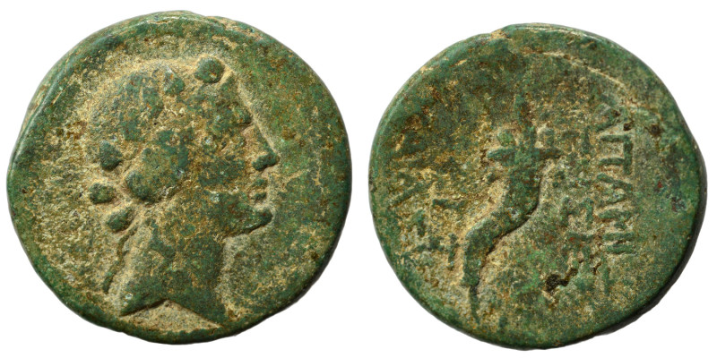 SYRIA, Seleucis and Pieria. Apameia, 10/9 BC. Ae (bronze, 6.35 g, 21 mm). Head o...