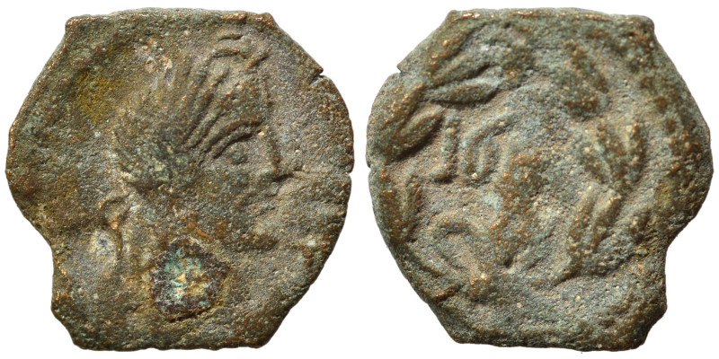 NABATAEA. Rabbell II, 70-106. Ae (bronze, 1.13 g, 13 mm). Laureate head right. R...