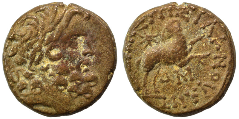 SYRIA, Seleucis and Pieria. Antioch. Pseudo-autonomous issue, time of Augustus, ...
