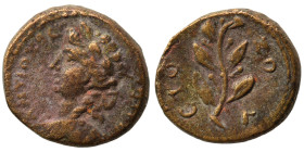 SYRIA, Seleucis and Pieria. Antioch. Pseudo-autonomous issue, time of Hadrian. Dichalkon (bronze, 2.96 g, 15 mm). Laureate and draped bust of Apollo l...