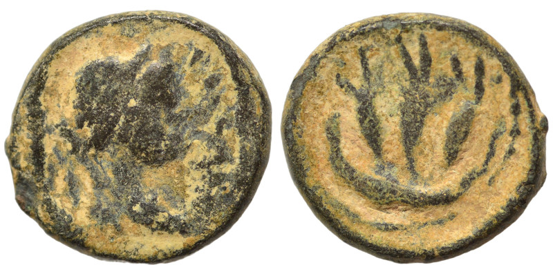 PALMYRENE. Palmyra. Pseudo-autonomous issue, circa 1st-3rd centuries AD. Ae (bro...