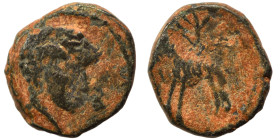 PALMYRENE. Palmyra. Pseudo-autonomous issue, circa 1st-3rd centuries AD. Ae (bronze, 0.69 g, 9 mm). Male bust right. Rev. Uncertain animal standing ri...