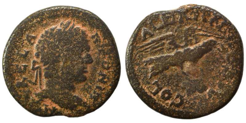 TROAS. Alexandria. Severus Alexander, 222-235. Ae (bronze, 7.31 g, 23 mm). Laure...