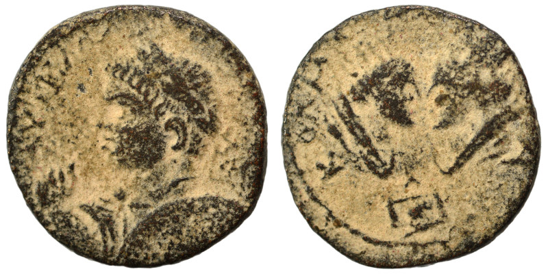 MESOPOTAMIA. Edessa. Elagabalus, 218-222. Ae (bronze, 5.75 g, 21 mm). Laureate, ...