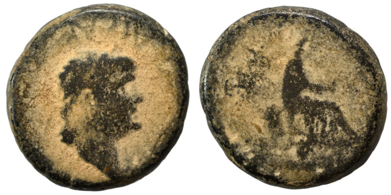 Provincial. Ae (bronze, 14.27 g, 24 mm). Fine.