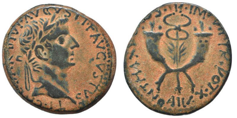 Tiberius, 14-37. Ae (bronze, 11.93 g, 30 mm). TI CAESAR DIVI AVGVSTI F AVGVSTVS ...