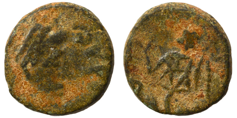 Avitus, 455-456. Ae (bronze, 1.20 g, 10 mm), Rome. Pearl-diademed, draped, and c...