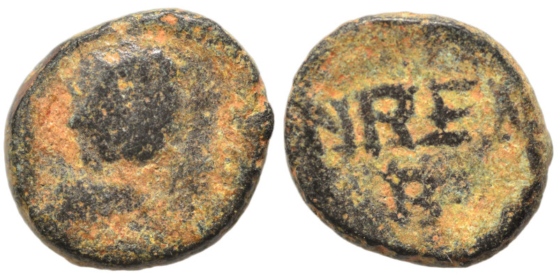 OSTROGOTHS. Baduila, 541-552. Nummus (bronze, 0.87 g, 9 mm), Ticinum. Pearl-diad...