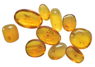 A group of ten pieces of Burmese amber with insect; Cretaceous layer (> 66 million years). All containing various insects together with other inclusio...
