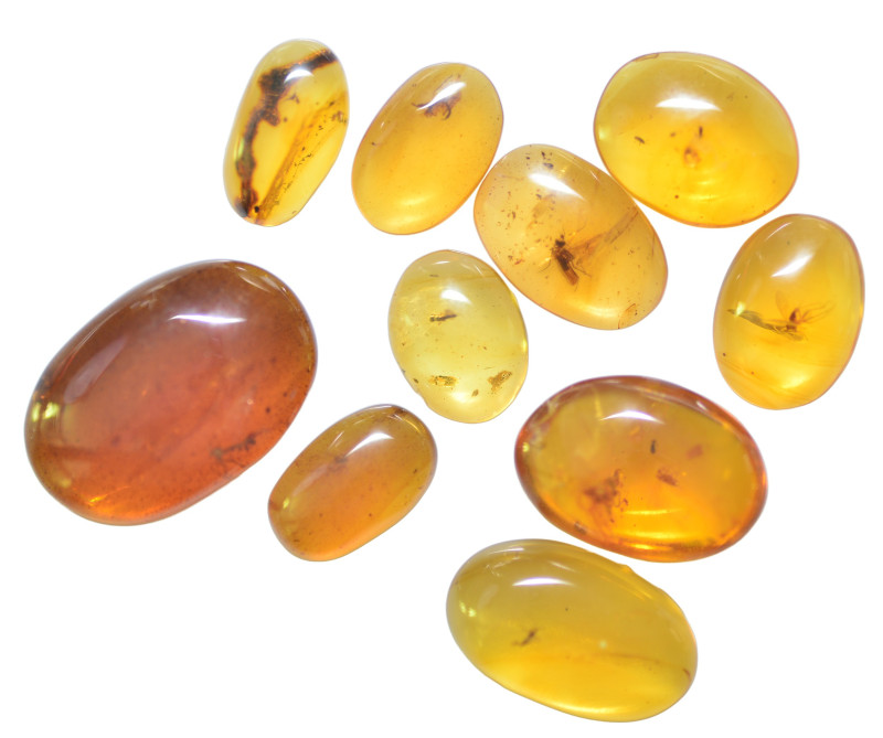 A group of ten pieces of Burmese amber with insect; Cretaceous layer (> 66 milli...