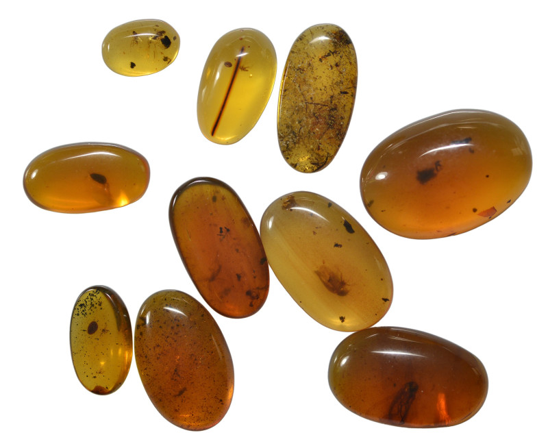 A group of ten pieces of Burmese amber with insect; Cretaceous layer (> 66 milli...