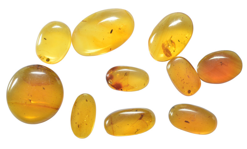 A group of ten pieces of Burmese amber with insect; Cretaceous layer (> 66 milli...