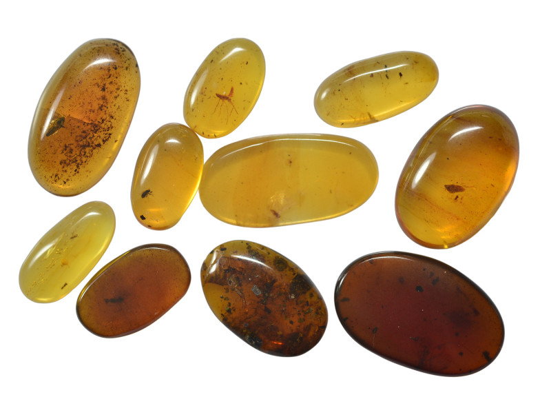 A group of ten pieces of Burmese amber with insect; Cretaceous layer (> 66 milli...