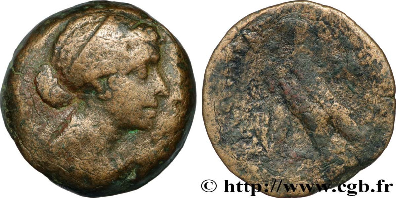 LAGID KINGDOM - CLEOPATRA VII AND PTOLEMY XIII
Type : Quarante drachmes 
Date : ...