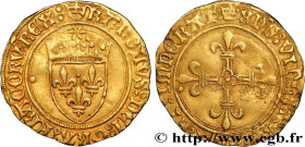 CHARLES VIII
Type : Demi-écu d'or au soleil 
Date : 11/09/1483 
Date : n.d. 
Mint name / Town : Paris 
Metal : gold 
Millesimal fineness : 963  ‰
Diam...