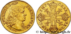 LOUIS XIV "THE SUN KING"
Type : Louis d'or à la tête nue, 1er type 
Date : 1677 
Mint name / Town : Paris 
Quantity minted : 15112 
Metal : gold 
Mill...