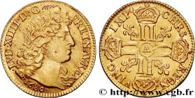 LOUIS XIV "THE SUN KING"
Type : Louis d'or à la tête nue 
Date : 1680 
Mint name / Town : Paris 
Quantity minted : 294777 
Metal : gold 
Millesimal fi...