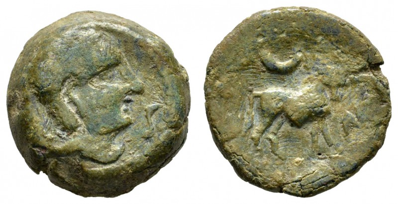 Kelten Iberokelten
Castulo AE-Semis 133-116 v.u.Z. Av.: Kopf nach rechts, Rv.: ...