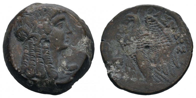 Griechen Aegyptus
Ptolemaios V. Epiphanes, 204-180 v.u.Z. Æ 25 Alexandria Av.: ...