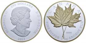 Kanada
Bundesstaat 250 $ 2013 Maple Leaf Forever, 1 kg Silbermünze mit Teilvergoldung, in der hochwertigen Holzbox mit Zertifikat, Auflage nur 600 Ex...