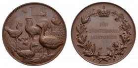 Sonstige Medaillen Deutschland
Preußen 1887 Staatspreismedaille für Leistungen in der Geflügelzucht in Bronze, gestiftet 1887, Bronze geprägt und pat...