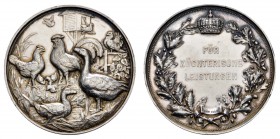 Sonstige Medaillen Deutschland
Preußen 1887 Staatspreismedaille für Leistungen in der Geflügelzucht in Silber, gestiftet 1887, Silber geprägt, anhand...