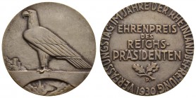 Sonstige Medaillen Deutschland
Weimarer Republik versilberte Bronzemedaille, Ehrenpreis des Reichspräsidenten 151.39 g. ss-vz