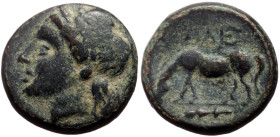 *Scarce, not often seen on market*
Troas, Alexandria (ca 261-227 BC) AE (Bronze, 12mm, 1.88g) 
Obv: Laureate head of Apollo l. 
Rev: Horse grazing l.;...