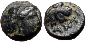 Troas, Antandros AE (Bronze, 0.67g, 8mm) 4th-3rd century BC.
Obv: Laureate head of Artemis Astyrene to right
Rev: ANTA[N], Head of roaring lion to rig...