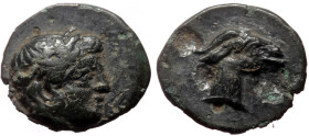 Aeolis, Aegae (ca 3rd cent. BC) AE (Bronze, 0.77g, 9mm) 
Obv: Laureate head of Apollo right 
Rev: Goat's head right. 
Ref: SNG Copenhagen 4.