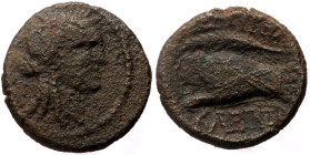 *Very rare* Ionia, Smyrna AE (Bronze, 13mm, 2.21g) Zeuksis, magistrate, ca 75-50 BC.
Obv: Laureate head of Apollo to right
Rev: Hand in caestus (box...