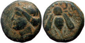 Ionia, Ephesos AE (Bronze, 1.29g, 10mm) ca 375-325 BC
Obv: E - Φ, Bee with straight wings.
Rev: Female head (Artemis?) left, wearing stephane.
Ref: BM...
