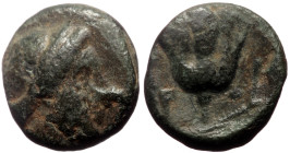 Caria, Rhodos AE (Bronze, 10mm, 0.98g) ca 350-300 BC. 
Obv: Head of diademed nymph to right 
Rev: Rose with bud to right; P-O across fields. 
Ref: BMC...