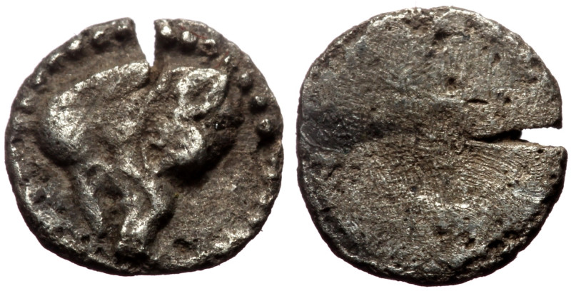 Cilicia or Cyprus, Uncertain AR Tetartemorion (Silver, 6mm, 0.17g) late 5th to m...