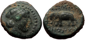 Seleukid Kings of Syria, Antiochos III ‘the Great’ (222-187 BC) 
Obv: Sardes mint. Laureate head of Apollo right 
Rev: Elephant standing left; anchor ...