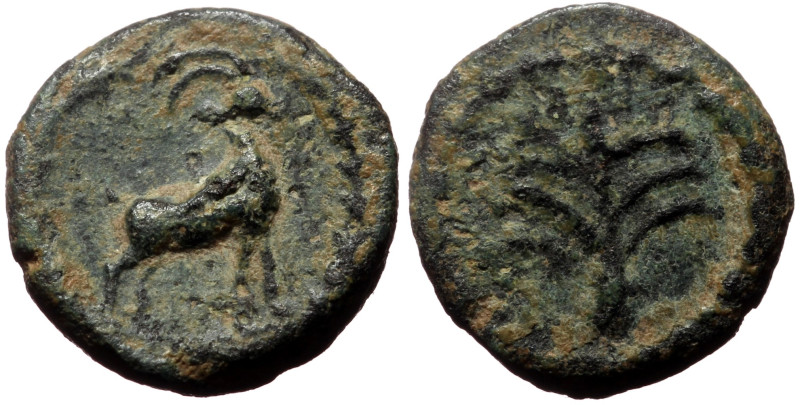 Unidentified Greek AE (Brown, 1.66g, 11mm)