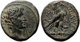 Phrygia Amorium AE (Bronze, 5.29g, 18mm) Augustus Kallippos, son of Alexandros 
Obv: ϹƐΒΑϹΤΟϹ; bare head of Augustus, r.; before, lituus
Rev: ΚΑΛΛΙΠΠΟ...