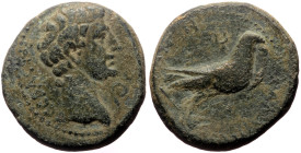Phrygia, Amorium AE Assarion (Bronze, 5.97g, 18mm) Augustus (27 BC-AD 14) Alexander, magistrate. 
Obv: CЄBACTOC Bare head of Augustus to right; before...