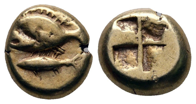 Mysia. Kyzikos circa 600-500 BC. 
Sixth Stater or Hekte EL

10 mm, 2,63 g

...