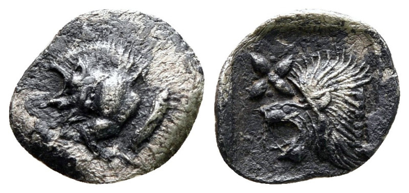 Mysia. Kyzikos circa 525-475 BC. 
Hemiobol AR

11 mm, 0,35 g



Very Fine