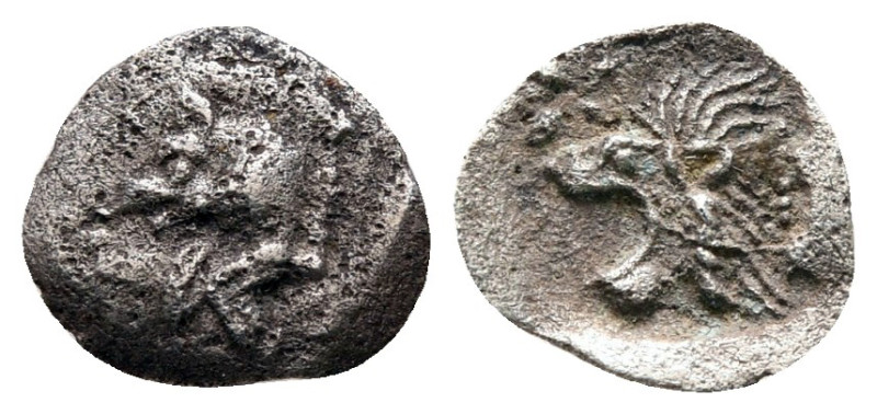 Mysia. Kyzikos circa 525-475 BC. 
Tetartemorion AR

8 mm, 0,16 g



Fine