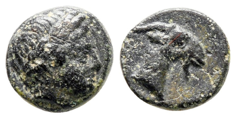 Aiolis. Aigai circa 400-200 BC. 
Bronze Æ

9 mm, 1,12 g



Very Fine