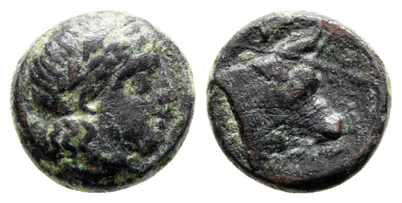 Lesbos. Mytilene circa 400-350 BC. 
Bronze Æ

9 mm, 0,69 g



Very Fine