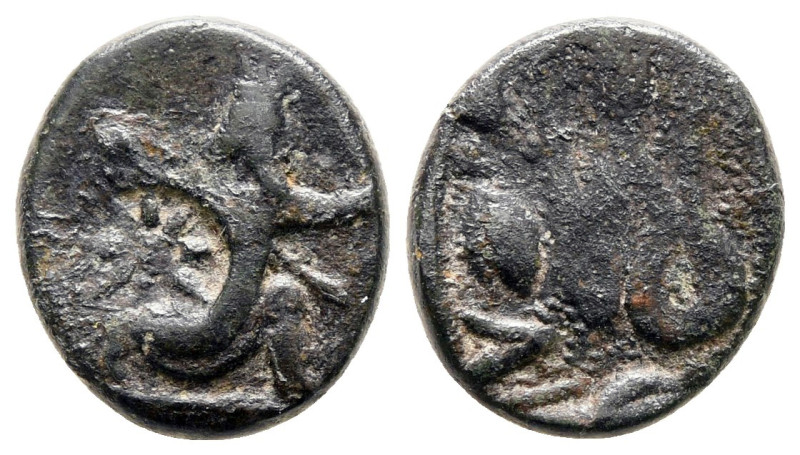 Ionia. Achaemenid Period circa 350-300 BC. 
Bronze Æ

13 mm, 1,69 g



Ve...