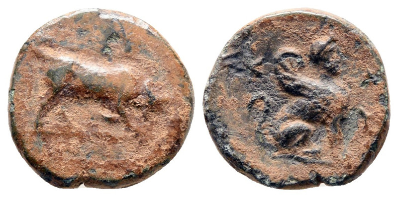 Caria. Kaunos circa 450-400 BC. 
Bronze Æ

12 mm, 1,47 g



Very Fine