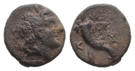 Greek Coins. 4th - 3rd century B.C. AE
Reference:

Condition: Very Fine

Weight: 1.2g Diameter: 11mm