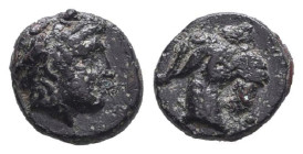 Greek Coins. 4th - 3rd century B.C. AE
Reference:

Condition: Very Fine

Weight: 0.9g Diameter: 9.7mm