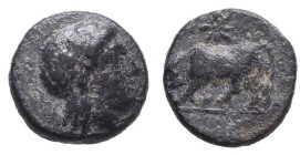 Greek Coins. 4th - 3rd century B.C. AE
MYSIA. Gambrion. Ae (4th century BC).
Obv: Laureate head of Apollo right.
Rev: Bull butting left; star above...