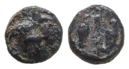 Greek Coins. 4th - 3rd century B.C. AE
Reference:

Condition: Very Fine

Weight: 0.6g Diameter: 8.1mm