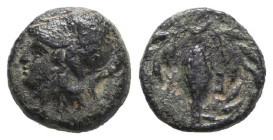 Greek Coins. 4th - 3rd century B.C. AE
Aeolis, Elaia Æ .Circa 340-300 BC. Helmeted head of Athena to left / Grain ear; Ε-Λ across fields; all within ...